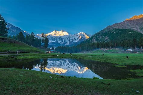 Awesome Fairy meadows, Pakistan : r/pakistan