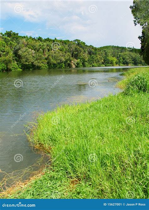 Barron River in Queensland, Australia Stock Image - Image of valley, tree: 15627001