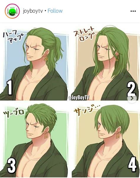 I like 1. Zoro would look interesting with long hair pulled back I ...