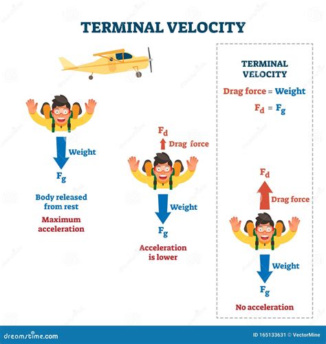 Terminal Velocity Vector Illustration. Labeled Falling Speed Explanation Stock Vector ...