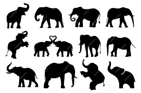 Premium Vector | Elephant collection - vector silhouette. set of ...