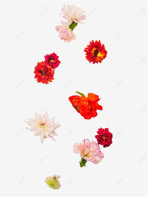 Scattered Colorful Flowers, Falling Flowers, Scattered, Color PNG Transparent Image and Clipart ...