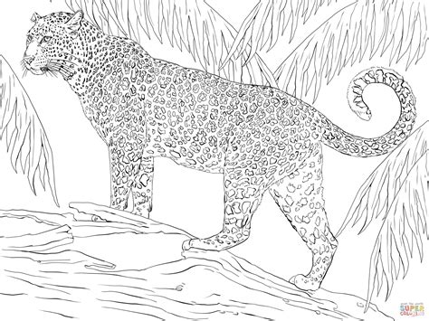 Jaguar coloring page | Free Printable Coloring Pages