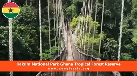 Kakum National Park Ghana Tropical Forest Reserve-1 - GoogleAsia.ORG ...