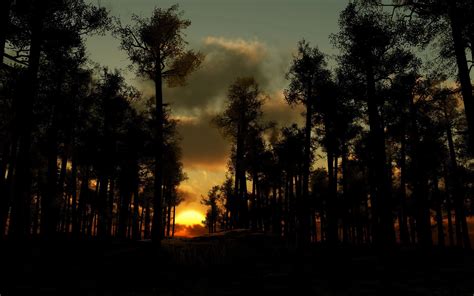 Sunset over the woods wallpaper | nature and landscape | Wallpaper Better