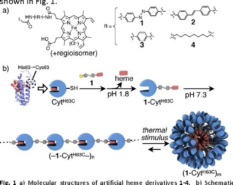 Figure 1 from A supramolecular assembly based on an engineered hemoprotein exhibiting a thermal ...