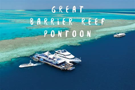 Great Barrier Reef Tours From Airlie Beach - Infoupdate.org