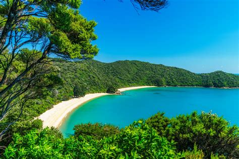 100 Untold Stories: New Zealand’s smallest national park is a coastal paradise | NeedaBreak