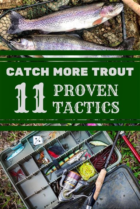 catch more trout 11 proven tricks