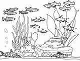Aquarium Coloring Sheets Printable Pages sketch template