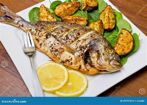 Roasted gilthead fish stock image. Image of dish, cook - 29797615