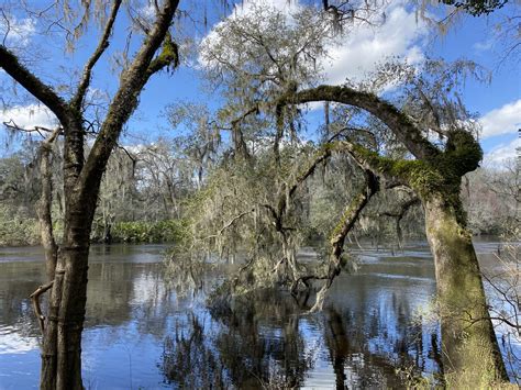 Suwannee River State Park Live Oak, Florida - The Window Seat Nomad