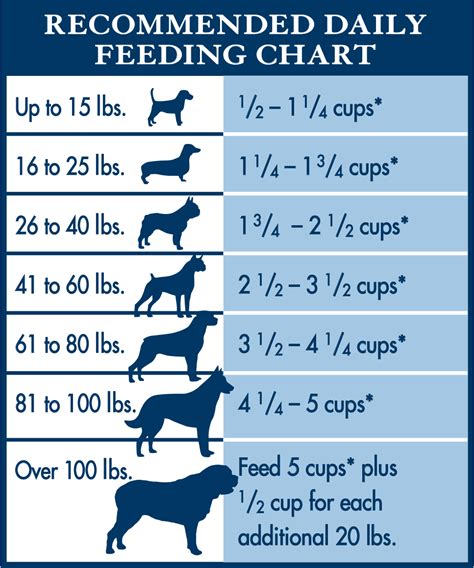 10 Must-Know Tips for Choosing the Perfect Dog Food Portion Size: Reviews & Buying Guide - Furry ...