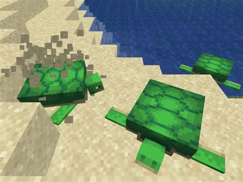 Breed Turtles In Minecraft - PC Gear Head