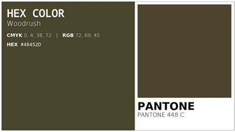 HEX #48452D to PMS Code PANTONE 448 C Conversion chart (PMS Solid Coated)