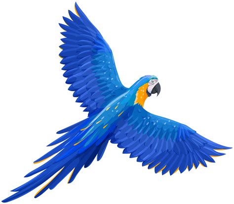 Flying Parrot Clip Art