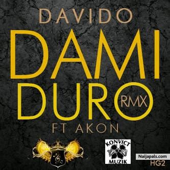 Davido ft. Akon - Dami Duro Remix | Naija Songs // Naijapals