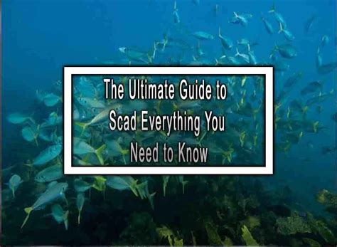 The Ultimate Guide to Scad Everything You Need to Know