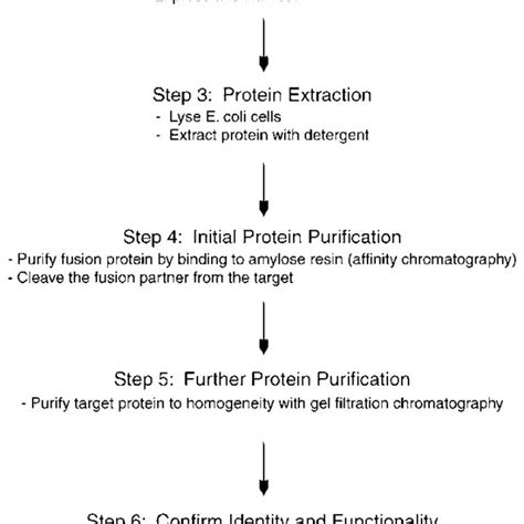 Protein Purification Steps Flowchart - Chart Examples