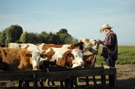 Op-ed: The importance of wildlife in ranching | AGDAILY