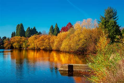 The Top 10 Places To See Fall Foliage In Seattle - Secret Seattle