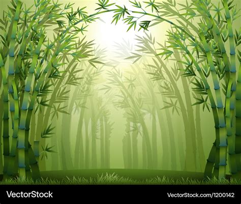 Bamboo trees inside the forest Royalty Free Vector Image