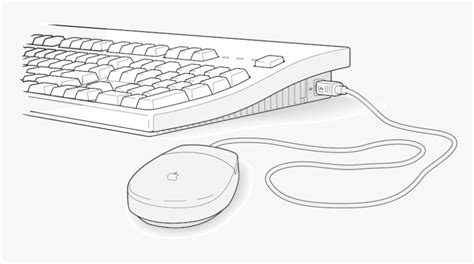 Transparent Keyboard And Mouse Clipart, HD Png Download , Transparent ...