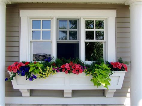 Flowering Window Box Ideas That Work for Sunny Gardens