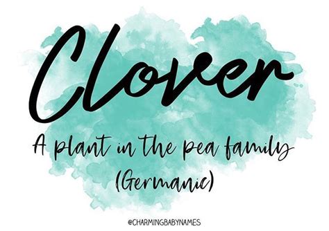 Calen & Ash on Instagram: “Clover 🌿 This lovely name is inspired by the color clover green! This ...