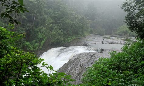 7 Waterfalls in Wayanad You Won't Want to Miss in 2024