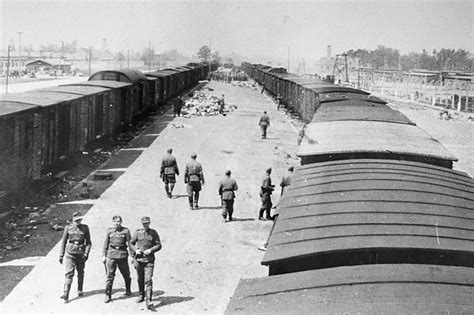 Auschwitz-Birkenau concentration camp - Mirror Online