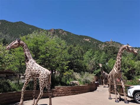 Cheyenne Mountain Zoo - 4250 Cheyenne Mountain Zoo Rd, Colorado Springs ...