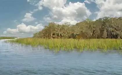 Boating At Lake Kissimmee In Florida