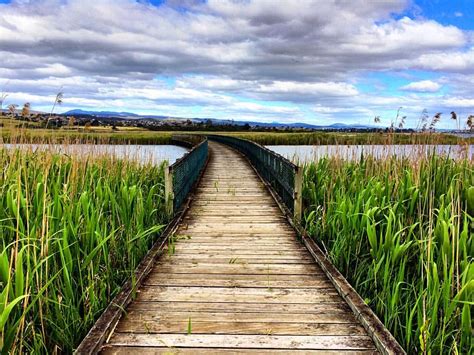 10 Things to Do in The Tamar Valley - Free Two Roam | Tasmania travel, Travel pictures ...