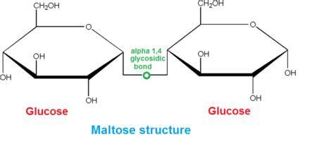 Alpha Vs Beta Linkage