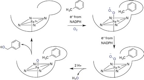 Radical Chemistry | Basicmedical Key