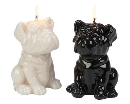 Animal Candles