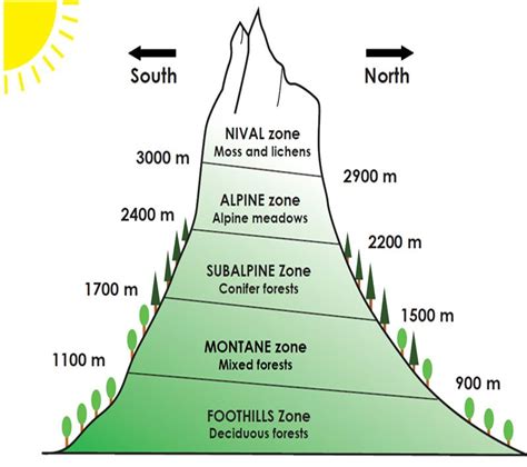 Zoning of plant life in the mountains | Jardin Alpin du Lautaret ...