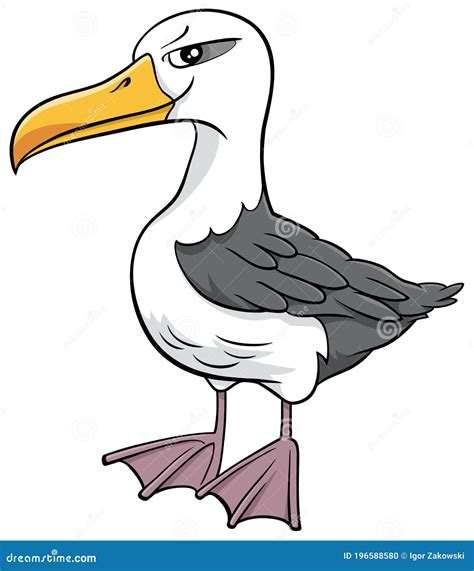 Albatross Bird Animal Character Cartoon Illustration Stock Vector - Illustration of albatross ...