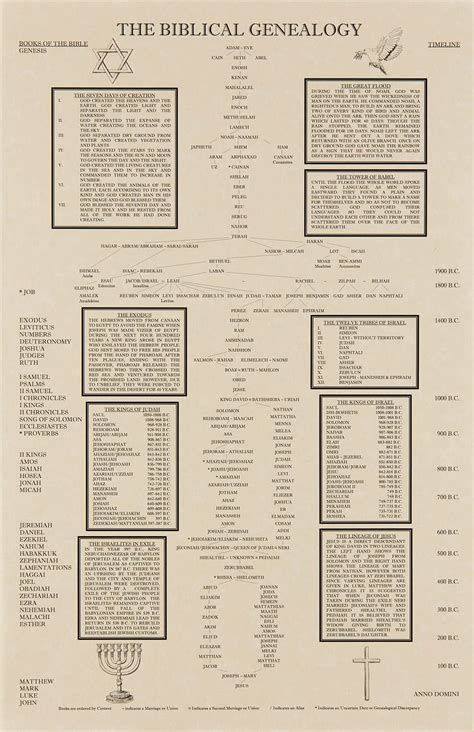 Buy The Biblical Genealogy Chart, Family Tree from Adam to Jesus, Books of the Bible Timeline ...