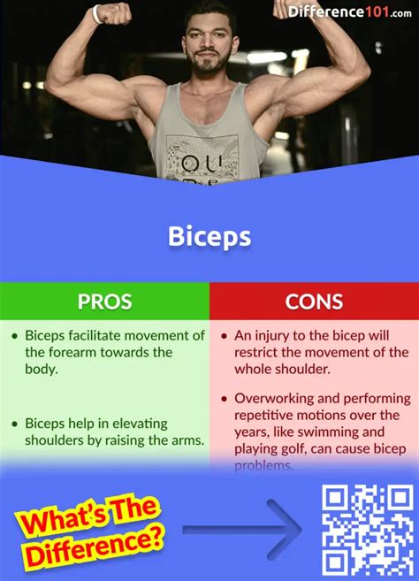 Best Shoulder Bicep Tricep Workout | EOUA Blog