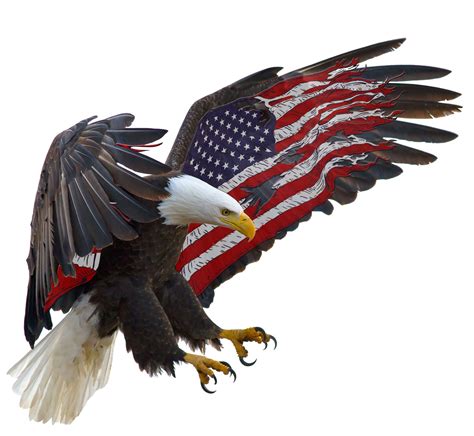 American Eagle American Flag 5" Decal - Walmart.com | American flag eagle, American flag wall ...