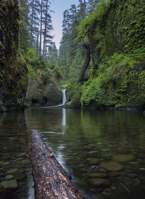 Punch Bowl Falls OR [OC] [1678x2300] | Punchbowl falls, Amsterdam itinerary, Landscape photographers