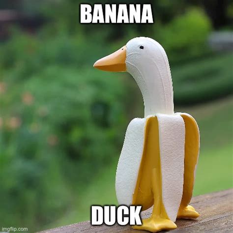 banana+duck=bananaduck! - Imgflip