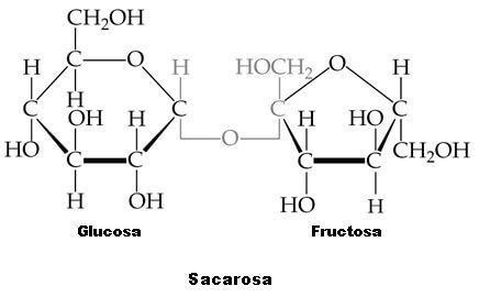 La estructura de la sacarosa | Cursos Online Web