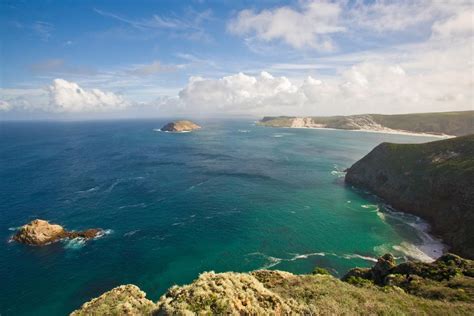 Island Facts: San Miguel Island - Channel Islands National Park (U.S ...