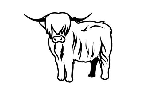 Realistic scottish highland cow SVG Cut file by Creative Fabrica Crafts - Creative Fabrica