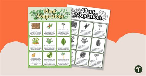 Plant Adaptations- Poster | Teach Starter