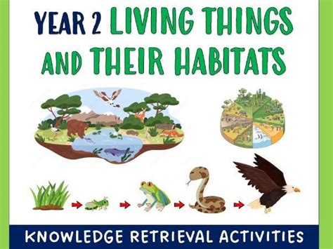 Year 2 Living Things and their Habitats: Knowledge Retrieval Activities ...