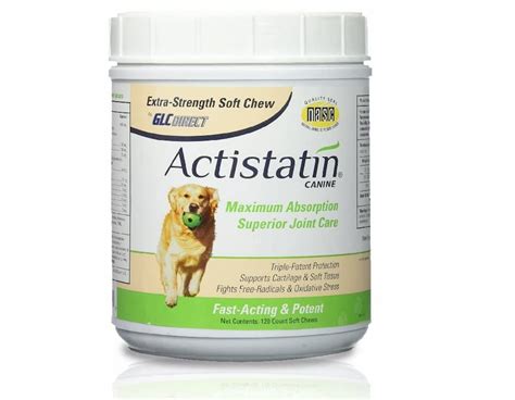 12 Best Joint Supplements For Dogs - Vetstreet | Vetstreet